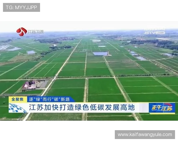 凯发集团有限公司：打造绿色可持续发展的企业生态体系