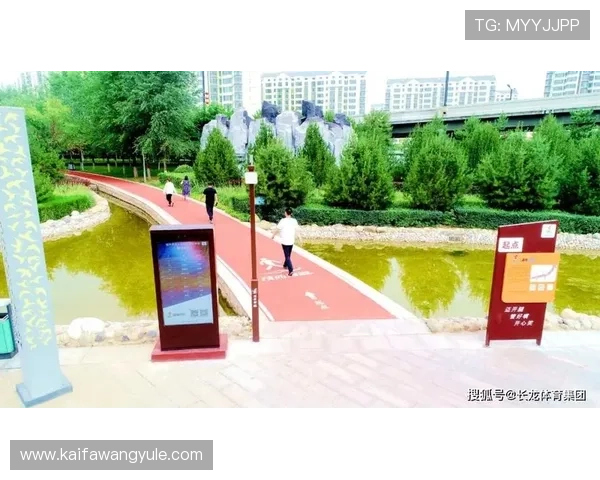 如何快速准确地进行凯发体育集团网址查询操作指南