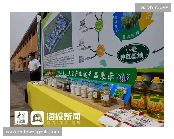 凯发手机端官网支持多平台无缝切换,确保玩家随时随地畅享高品质游戏体验 凯发手机端官网支持多平台无缝切换,确保玩家随时随地畅享高品质游戏体验